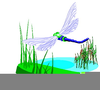 Dragonflies Clipart Image