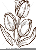 Free Black And White Tulip Clipart Image