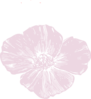 Pink Poppies Clip Art