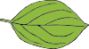 Oval Leaf Clip Art