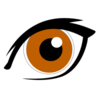 Brown Eye With Eyeliner  Image