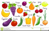 Onion Clipart For Kids Image