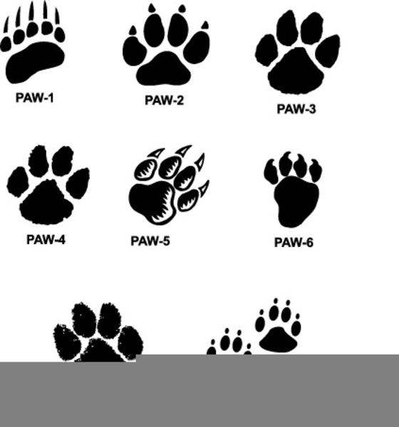 Clipart Cougar Paws | Free Images at Clker.com - vector clip art online,  royalty free & public domain