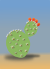 Cactus Plant Clip Art
