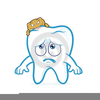 Free Clipart Tooth Image