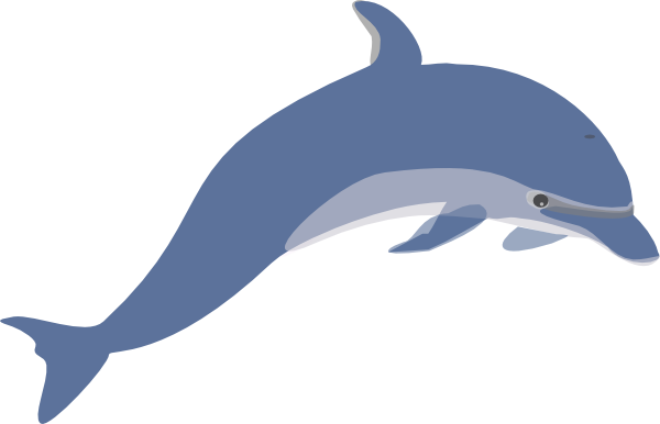 Dolphin 3 Clip Art at Clker.com - vector clip art online, royalty free &  public domain