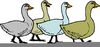 Free Clipart Geese Image