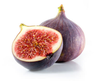 Clipart Of Fig Tree With Fruits Image