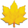 M Leaf Vector Clipart Image