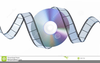 Dvd Video Clipart Image