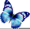 Black And White Butterfly Clipart Image