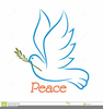 Clipart Dove With Olive Branch Image