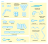 Bacterial Morphology Clip Art