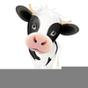 Kissing Cow Clipart Image