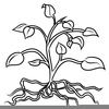 Plants Black And White Clipart Image