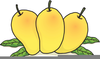 Free Clipart Of Mangoes Image