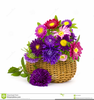 Basket Clipart Flower Image