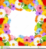 Free Clipart Thank You Flowers Image