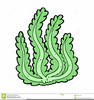 Animated Seaweed Clipart Image