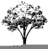 Clipart Of Trees In The Fall Image