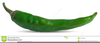 Green Chili Pepper Clipart Image