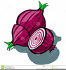 Free Food Clipart Purple Onion Image