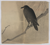 Crow On A Willow Branch. Image