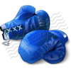 Boxing Gloves Blue 3 Image