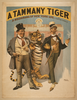 A Tammany Tiger A Melodrama Of New York Life By H. Grattan Donnelly.  Image
