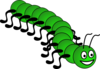 Centipede  Clip Art