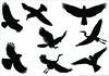Free Flying Bird Clipart Image