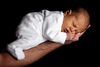Newborn Baby On An Arm Image