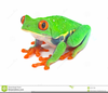 Tropical Frogs Clipart Image