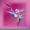 Abstract Hummingbird Art Image