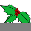 Holly Berry Clipart Free Image