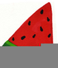 Clipart Watermelon Seed Image