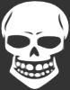 Skull Human X Ray Clip Art