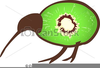 Kiwi Clipart Bird Image