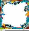 Coral Reef Clipart Border Image