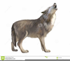 Howl Wolf Clipart Image