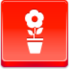 Free Red Button Icons Pot Flower Image