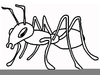 Free Cartoon Ant Clipart Image