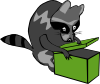 Raccoon Opening Box Clip Art