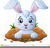 Rabbit Clipart Black And White Image