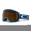 Canopy Goggles Image