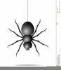 Clipart Spider Thread Image