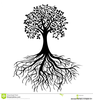 Tree Root Png Image