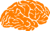 Brain Logo Orange Clip Art