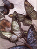 Art Nouveau Clipart For Machine Embroidery Image