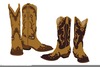 Cowgirl Boots Vector Image